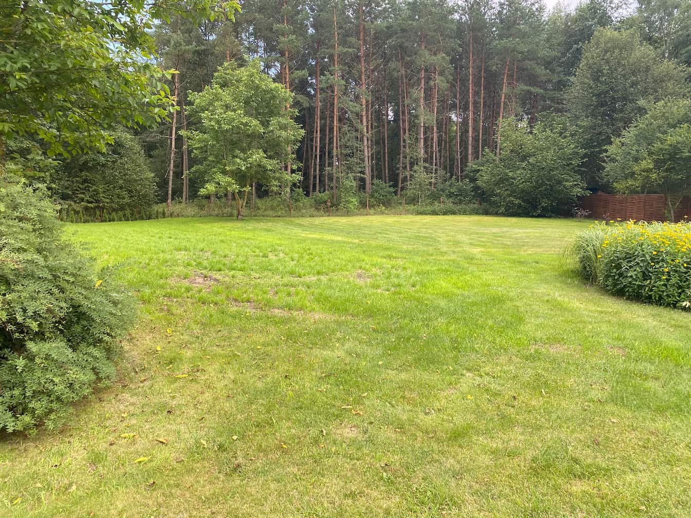 podwórko